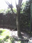 14-04-07_1325.jpg