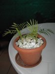 resized_PICT0704.jpg