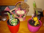 DSC00070.jpg