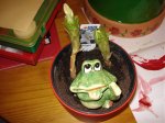 DSC00067.jpg