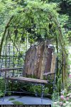 avellano pergola mini.jpg