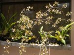 DSCN8431.JPG