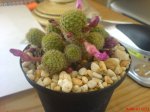 DSC00176.JPG