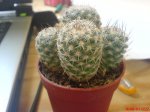 DSC00175.JPG