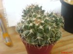 DSC00174.JPG