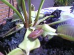 Foto-0072.jpg