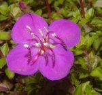 _DSC004610001.JPG