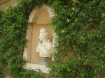 Rosal-Aranjuez1.jpg