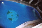 arte bajo el agua.jpg