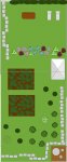 jardin.JPG