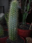 DSCN0145.jpg