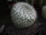 DSCN0146.jpg