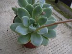 DSCN0139.jpg