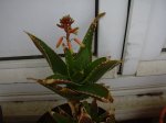 DSCN0140.jpg
