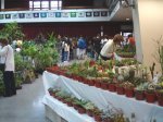 DSC01207.JPG