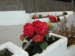 DSCN1310.jpg