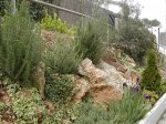 DSCN1289.jpg