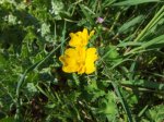 2007_0418Ribera0042.jpg