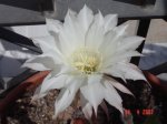 DSC03812.JPG