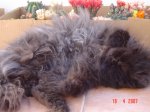 DSC03864.JPG