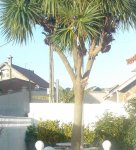 DSC01857-2.jpg