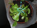 2007_0417Imagen0015.jpg