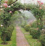 Arco-rosas-Pop.jpg