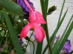 DSCN0029.jpg