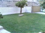 MI JARDIN 1.jpg
