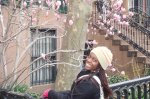 arbol New York1.jpg