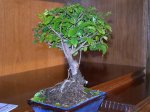 DSCN1472.jpg