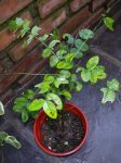 DSCN4759.JPG