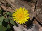 DSCN0719.JPG