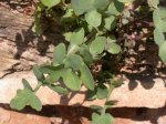 DSCN0720.JPG