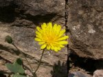 DSCN0721.JPG