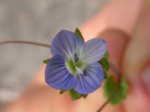 DSCN0678.JPG
