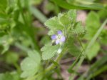 DSCN0682.JPG