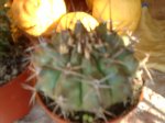 IMAG0131.JPG