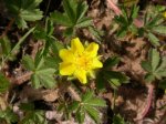 DSCN0691.JPG