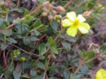 DSCN0714.JPG