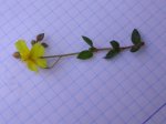 DSCN0716.JPG