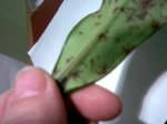 Imagen025.jpg