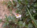 DSCN0612.JPG