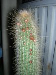 DSCN7705.JPG