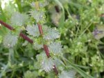 DSCN0731.JPG