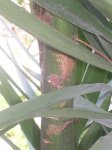 DSCN5867.jpg