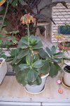 100_0530.JPG