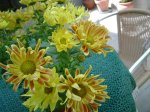 petalos arrugados2.jpg