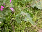 DSCN0614.JPG