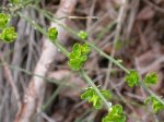 DSCN0615.JPG